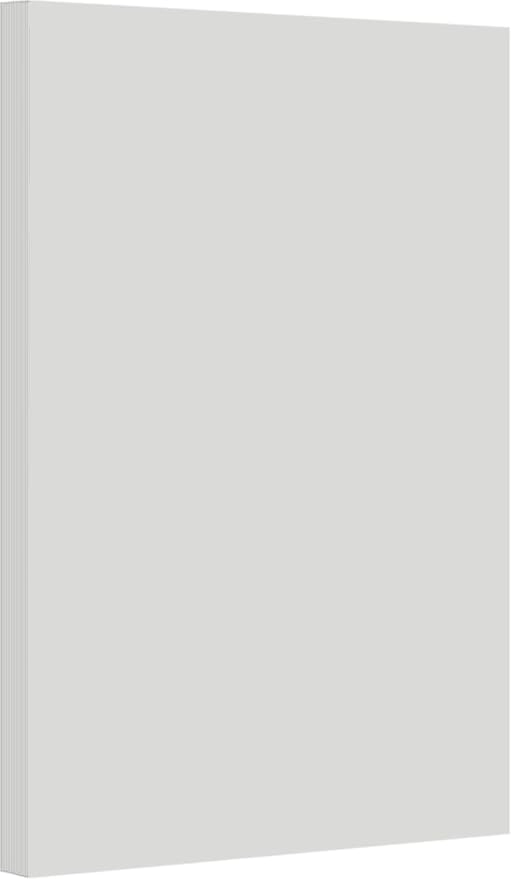 Vellum Bristol Cover 67 Pound, Smooth Finish, 250 Sheets Pack. – Premium Heavyweight Cardstock for Crafting, Printing, and Professional Projects, Acid-Free. (5, Grey, 11"x17") by LimitedPapers