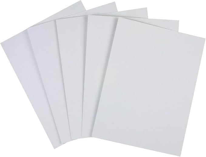 Vellum Bristol Cover 67 Pound, Smooth Finish, 250 Sheets Pack. – Premium Heavyweight Cardstock for Crafting, Printing, and Professional Projects, Acid-Free. (5, Grey, 8.5"x11") by LimitedPapers
