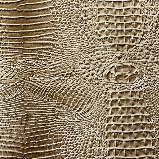Beige Amazon 3D Embossed Gator Faux Leather Vinyl Fabric - Sold by The Yard - 56" by Unknown