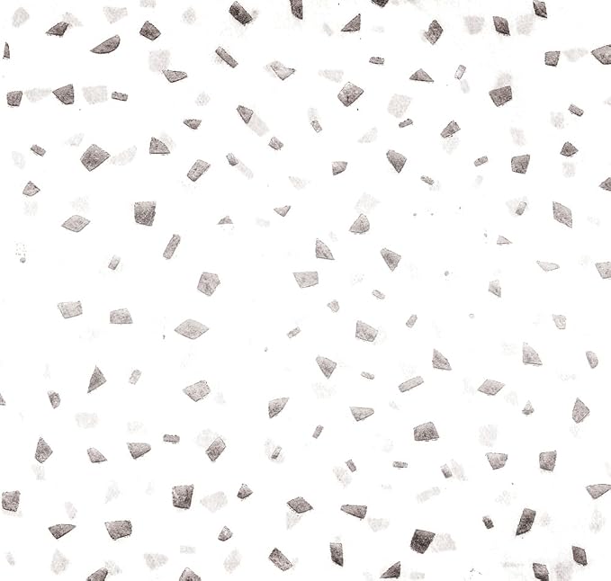 Jillson Roberts Reflection Gift Tissue 20" x 26", Silver (4 Folded Sheets) by JillsonRoberts
