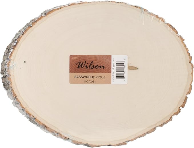 Wilson Basswood Round/Oval Plaque - Bulk Quantity Value Box Wood Slices, Large 9-11" D (Pack of 10) by Wilson