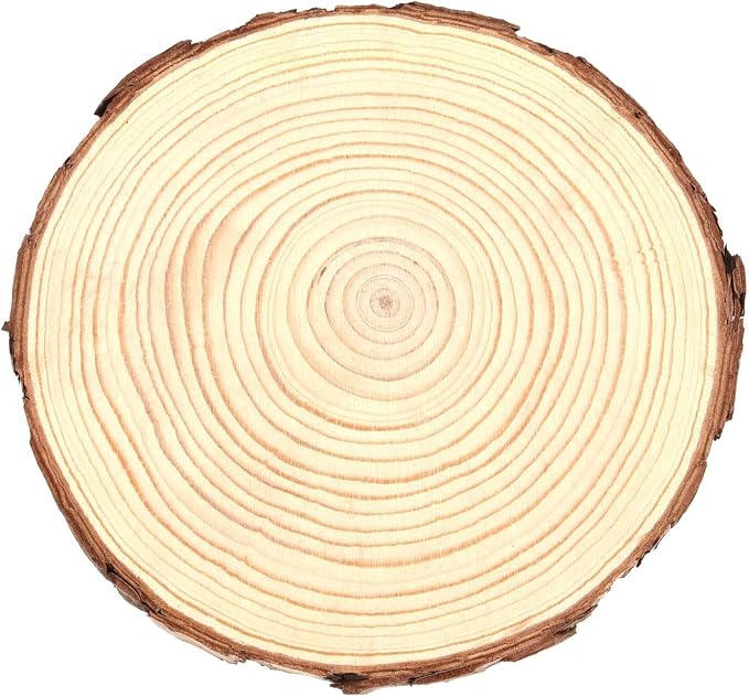 15 Pack 6-7 Inch Natural Wood Slices for Crafts, Unfinished Wood Slices with Bark 0.6 Inch Thick Wood Rounds Wooden Coasters for Crafts, Ornaments, Decorations - Image 3