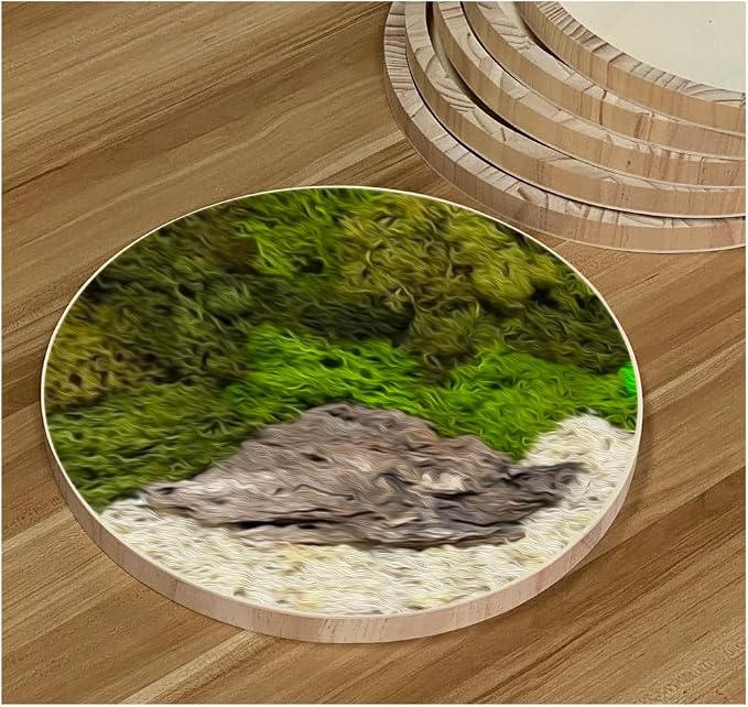 6 Pack 14 Inch Round Wood Canvas Panels Unfinished Wooden Plates Round Wood Cradle Boards for Pouring Arts Painting Crafts - Image 6