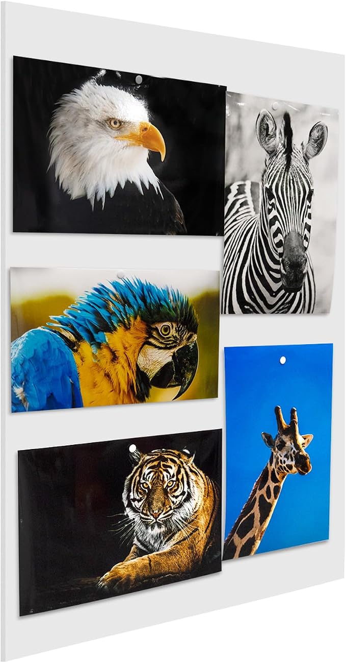 Foam Board 20 x 30 x 3/16"(5mm), Foam Core Board Sheets, White Poster Board | 12 Pack, Acid Free Foamboard, Rigid Sign Board for Mounting, Framing, Backing, Display, Presentation, Prints, Crafts & Art - Image 8