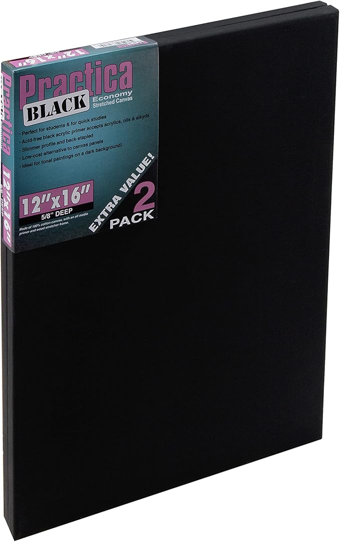 Practica Economy Black Stretched Cotton Canvas - Acid-Free Acrylic Primed Canvas for Acrylics, Oils, Alkyds, & More! - [2-Pack - 12x16] by Practica