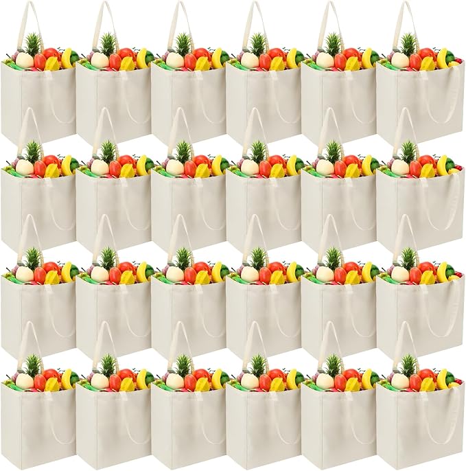 Reginary 24 Pack Canvas Grocery Bag Large Shopping Tote Bag,Natural by Reginary
