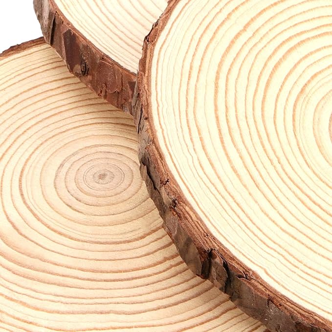 15 Pack 6-7 Inch Natural Wood Slices for Crafts, Unfinished Wood Slices with Bark 0.6 Inch Thick Wood Rounds Wooden Coasters for Crafts, Ornaments, Decorations - Image 5