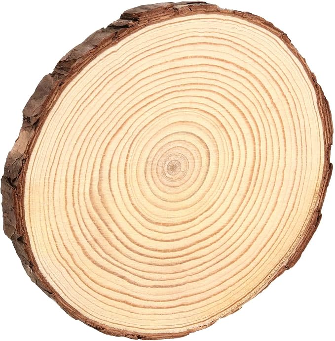 15 Pack 6-7 Inch Natural Wood Slices for Crafts, Unfinished Wood Slices with Bark 0.6 Inch Thick Wood Rounds Wooden Coasters for Crafts, Ornaments, Decorations - Image 6