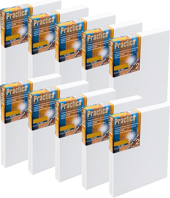 Practica Economy Stretched Cotton Canvas 20-Pack - 18x24 - Acid-Free Acrylic Primed Canvas for Acrylics, Pastels, Graphite, & More! by Practica