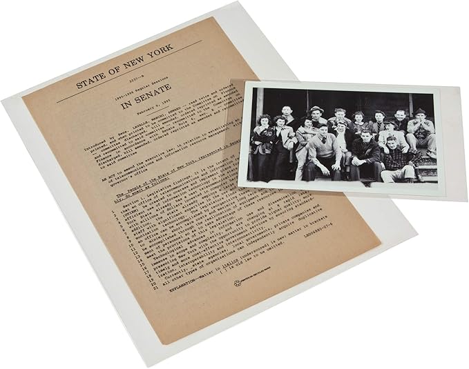 3 mil Archival Polyester L-Sleeves for Photos & Documents (10-Pack) - 8 x 10" by GaylordArchival