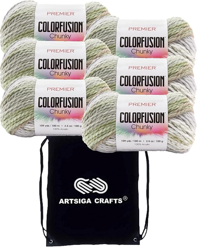 Premier Yarns Colorfusion Chunky Woodland 1174-10 | 6 Skeins, Same Dye Lot, Project Bag, #5 Bulky-Chunky, 100% Acrylic, Ideal for Crochet or Knitting Afghans, Blankets, Throws by Premier