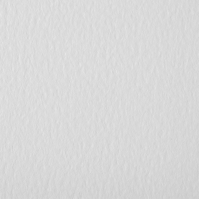 New York Central Watercolor Block, 300lb/640gsm Cold Press, 9"x12" 2 Pack, 20 Sheets Total - Archival Watercolor Paper for Artists, Gelatin Sized, Durable Water Color Paper, Wet and Dry Media - Image 6