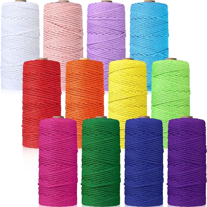 12 Rolls Macrame Cord, 3 mm x 1308 Yards Natural Cotton Twine, Colored Macrame String, Colorful Cotton Rope for DIY Crafts Knitting, Artworks, Wall Hanging, Plant Hangers (Bright Color) by Wesnoy