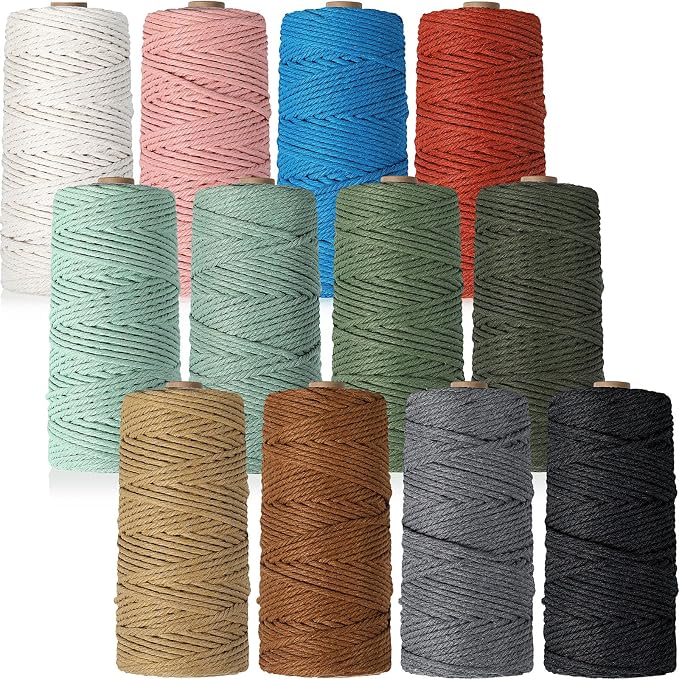 Wesnoy 12 Rolls Macrame Cord, 3 mm x 1308 Yards Natural Cotton Twine, Colored Macrame String, Colorful Cotton Rope for DIY Crafts Knitting, Artworks, Wall Hanging, Plant Hangers (Classic Color) by Wesnoy